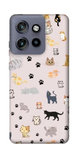 Чохол на Motorola Edge 50 Neo Cat style ver.1 фото 1 з 1