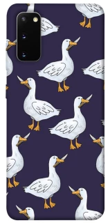 Чохол на Samsung Galaxy S20 Гуси з претензією фото 1 з 1