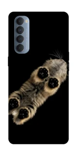 Чехол на Oppo Reno 4 Pro Cat фото 1 из 1