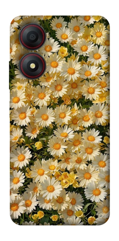 Чохол на ZTE Blade A34 4G Camomile фото 1 з 1