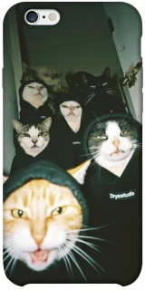 Чехол на Apple iPhone 6/6s plus (5.5") Сatsss фото 1 из 1