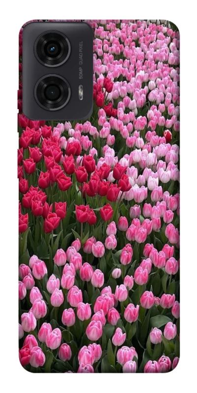 Чохол на Motorola Moto G04 Flowers v9 фото 1 з 1