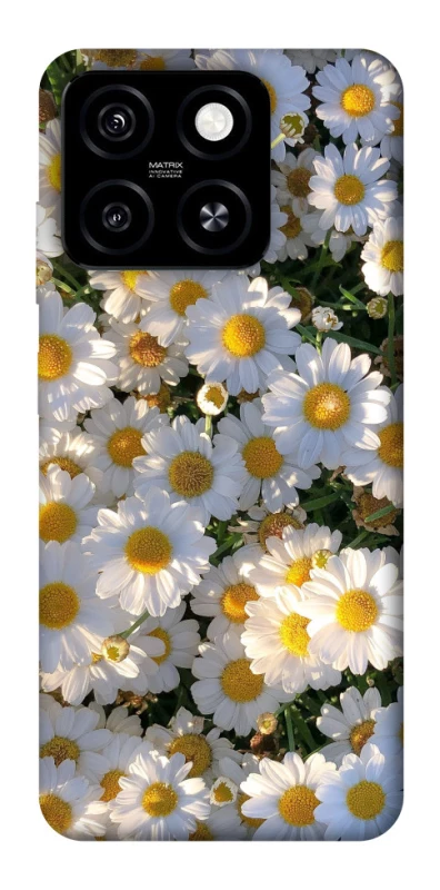 Чохол на ZTE Blade A55 4G Поле ромашок фото 1 з 1