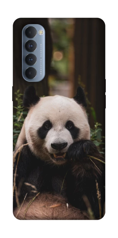 Чехол на Oppo Reno 4 Pro Панда фото 1 из 1
