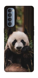 Чохол на Oppo Reno 4 Pro Панда фото 1 з 1