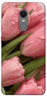 Чехол на Xiaomi Redmi 5 Plus / Redmi Note 5 (Single Camera) Beauty фото 1 из 1