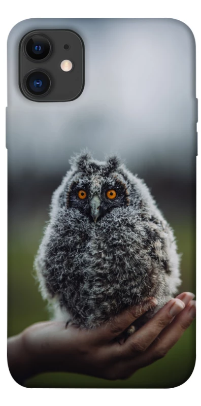 Чохол на Apple iPhone 11 (6.1") Совеня фото 1 з 1