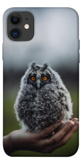 Чохол на Apple iPhone 11 (6.1") Совеня фото 1 з 1