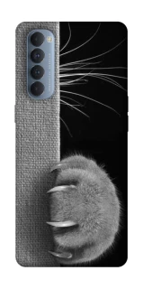 Чохол на Oppo Reno 4 Pro Spy Cat фото 1 з 1
