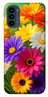 Чохол на Motorola Moto G41 Flowers v32 фото 1 з 1