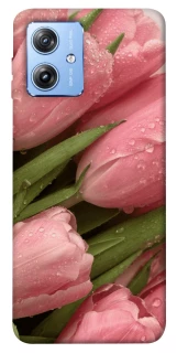 Чохол на Motorola Moto G84 Beauty фото 1 з 1