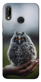 Чохол на Huawei P20 Lite Совеня фото 1 Чохол на Huawei P20 Lite Совеня фото 1 з 1