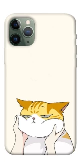 Чехол на Apple iPhone 11 Pro (5.8") Cat bun фото 1 из 1