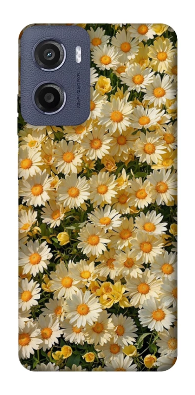 Чохол на Motorola Moto G05 Camomile фото 1 з 1