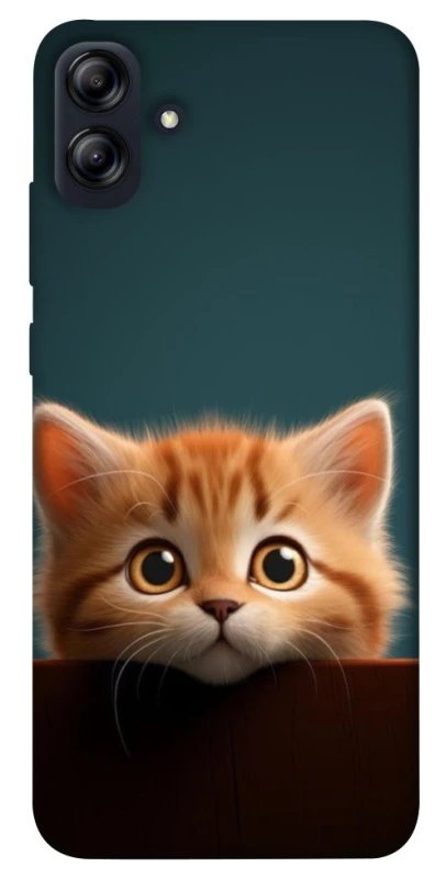 Чохол на Samsung Galaxy A04e Чохол Кошеня фото 1 з 1