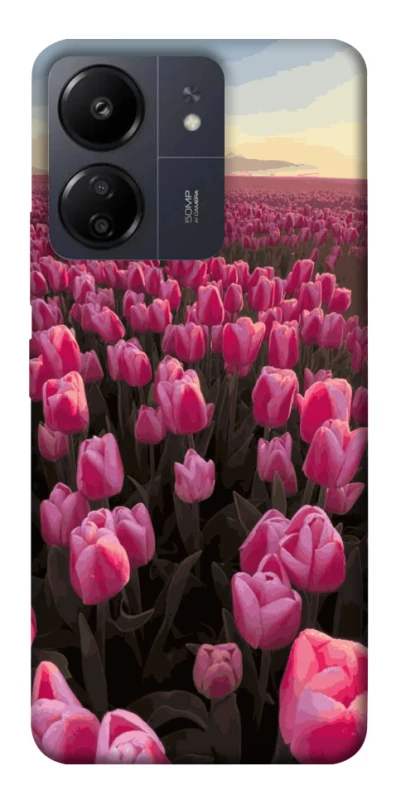 Чехол на Xiaomi Redmi 13C Spring Awakening фото 1 из 1