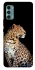 Чехол на Motorola Moto G60 Leopard v2 фото 1 из 1