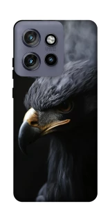 Чохол на Motorola Edge 50 Neo black eagle фото 1 з 1