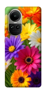 Чехол на Oppo Reno 10 Flowers v32 фото 1 из 2