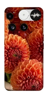 Чехол на Nothing Phone (3) Flower1 фото 1 из 1