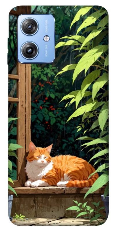 Чохол на Motorola Moto G84 red cat фото 1 з 1