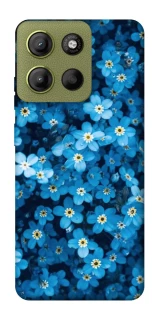 Чохол на Motorola Moto G15 4G Flowers v6 фото 1 з 1