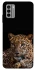 Чехол на Nokia G22 Leopard v4 фото 1 из 1