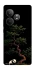 Чехол на Realme GT Neo 6 Panda and tree фото 1 из 1