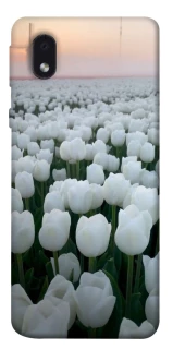 Чохол на Samsung Galaxy M01 Core / A01 Core Flowers v1 фото 1 з 1