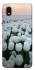 Чохол на Samsung Galaxy M01 Core / A01 Core Flowers v1 фото 1 з 1