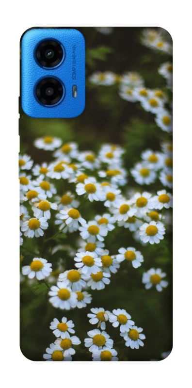Чохол на Motorola Moto G45 Ромашки v13 фото 1 з 1