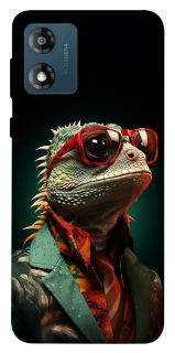 Чехол на Motorola Moto E13 Игуана фото 1 из 1