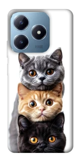 Чохол на Realme C63 Гарні котики фото 1 з 1