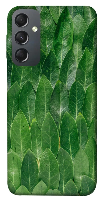 Чехол на Samsung Galaxy A24 4G Листья фото 1 из 1