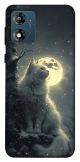 Чехол на Motorola Moto E13 Кот под луной фото 1 из 1