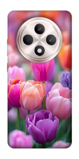 Чохол на Oppo Reno 12 F 4G/5G Тюльпанове поле фото 1 з 1
