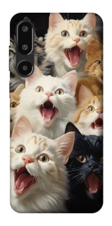 Чохол на Samsung Galaxy F16 Коти фото 1 з 1