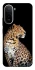 Чохол на Xiaomi Redmi A7 Pro 4G Leopard v2 фото 2 з 2