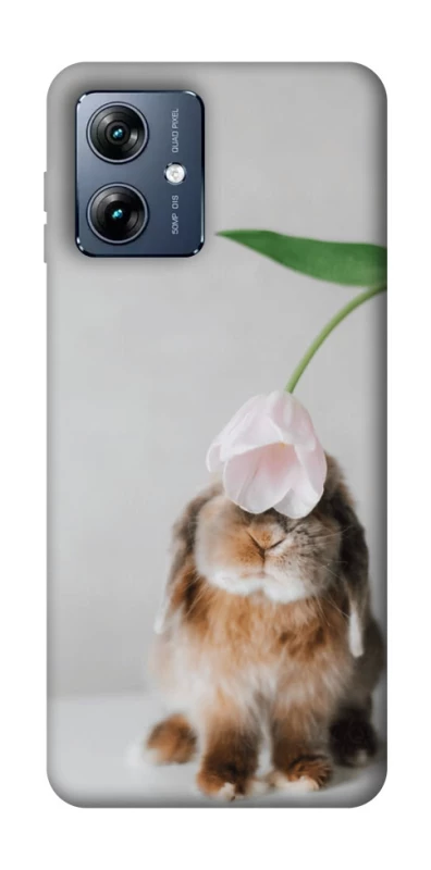 Чохол на Motorola Moto G54 Power Bunny фото 1 з 1