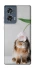 Чохол на Motorola Edge 50 Bunny фото 1 з 1