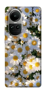 Чехол на Oppo Reno 10 Поле ромашек фото 1 из 2