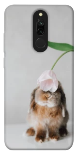 Чохол на Xiaomi Redmi 8 Bunny фото 1 з 1