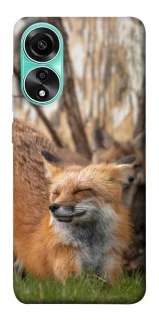 Чехол на Oppo A78 4G Лиса фото 1 из 1