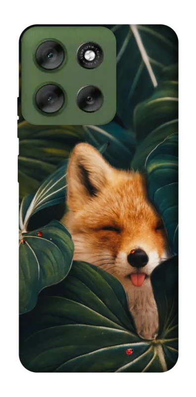 Чохол на Motorola Moto G56 5G Fox фото 1 з 1