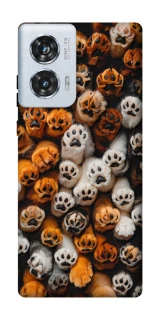 Чехол на Motorola Edge 50 Fusion Сat paws фото 1 из 1