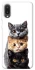 Чохол на Samsung Galaxy A02 Гарні котики фото 1 з 1