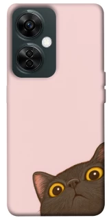 Чехол на OnePlus Nord CE 3 Lite Peeping cat фото 1 Чехол на OnePlus Nord CE 3 Lite Peeping cat фото 1 из 1