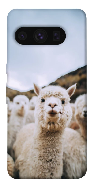 Чехол на Google Pixel 8 Pro Лама фото 1 из 1