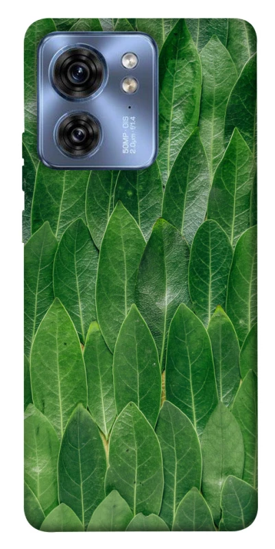 Чехол на Motorola Edge 40 Листья фото 1 из 1