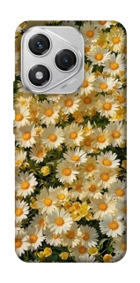 Чохол на Honor 400 Lite Camomile фото 1 з 1